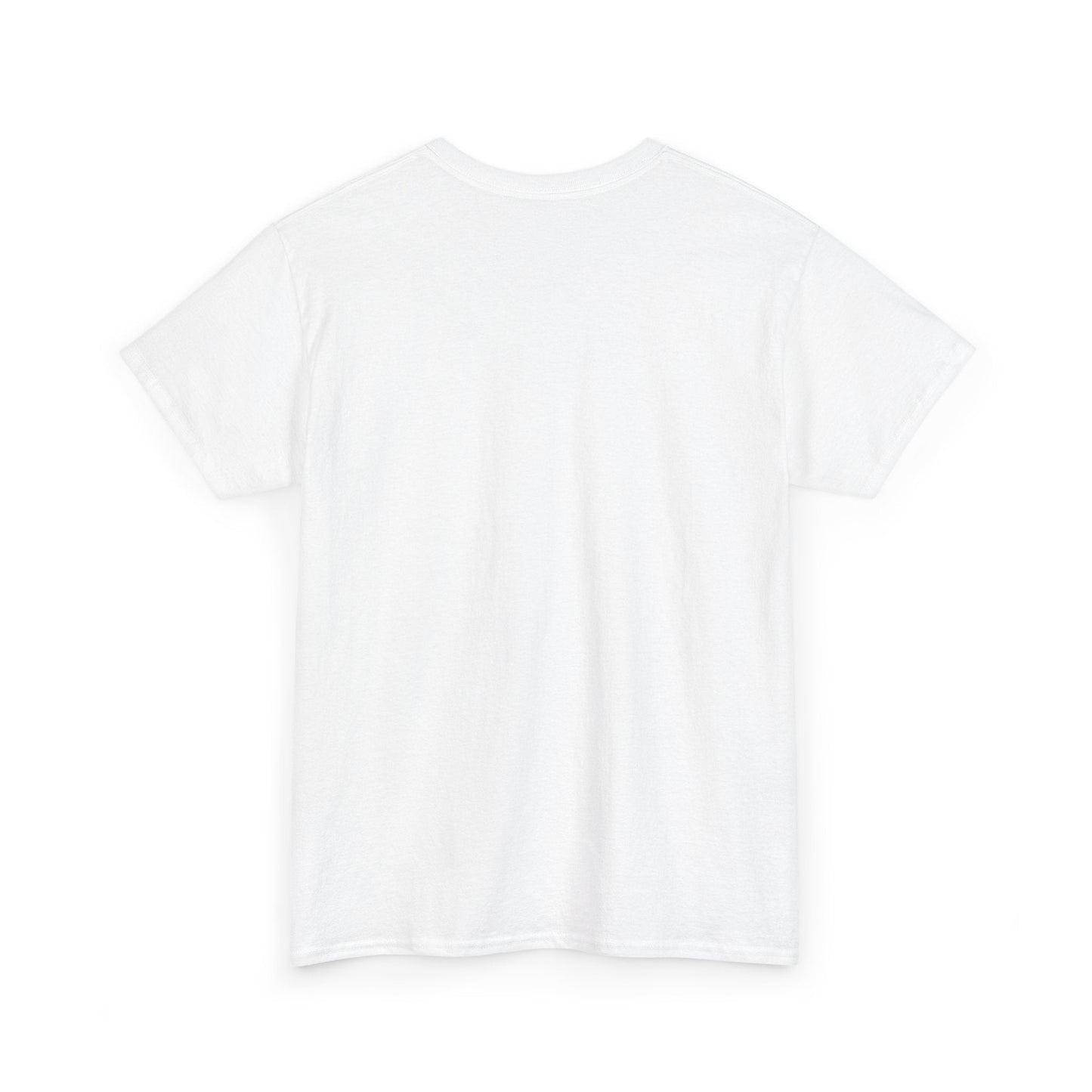 unisex heavy cotton tee - no rizz left behind - fun casual streetwear for men and women, comfortable fit, stylish design, perfect for everyday wear and casual outings