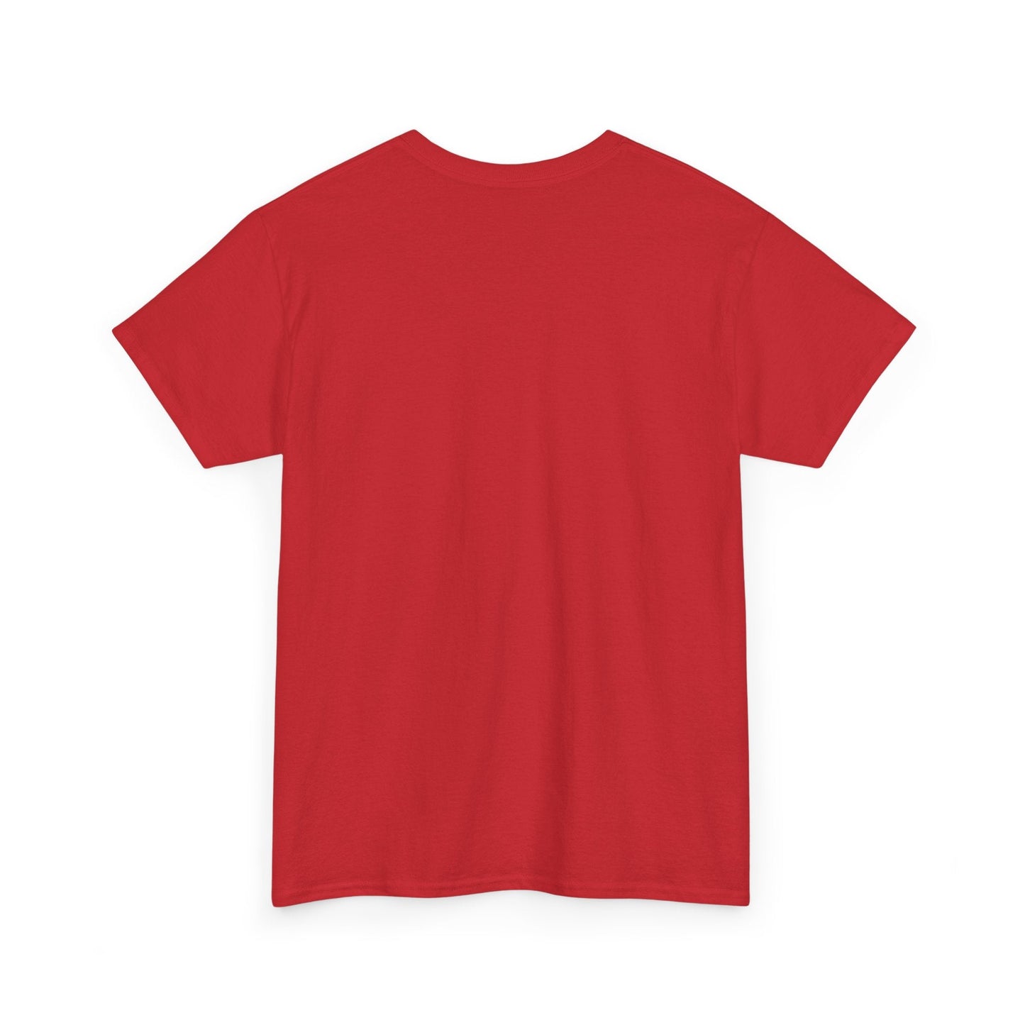 unisex heavy cotton tee - no rizz left behind - fun casual streetwear for men and women, comfortable fit, stylish design, perfect for everyday wear and casual outings