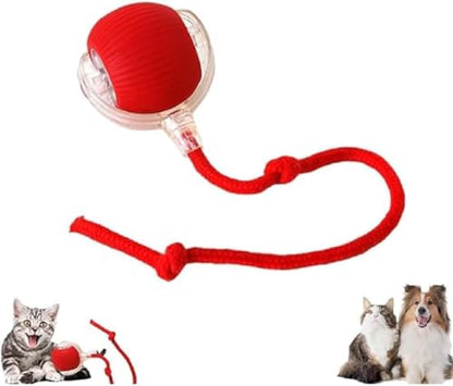 B0DR92DJ7W  B0DR8VVQHF 4.594 B0DPWS7GF9 Automatic Rolling Ball Interactive Ball Cat Toys Pet Supplies Electric Dog and Cat Training To Imitate Rat Rechargeable Products