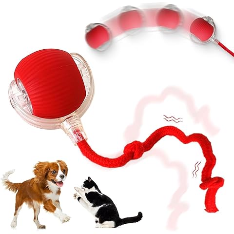 b0dr92dj7w  b0dr8vvqhf 4.594 b0dpws7gf9 automatic rolling ball interactive ball cat toys pet supplies electric dog and cat training to imitate rat rechargeable products