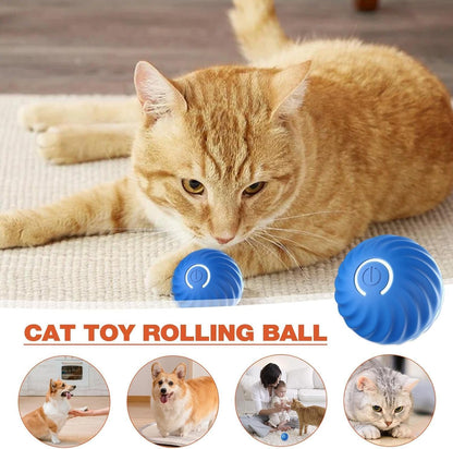 Blue Pet Toy Ball Automatic Moving Dog Toy Ball Smart USB Jumping Rotating Interactive Dog Chew Toy Ball for Puppy Ball Toy