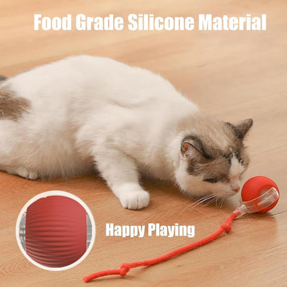B0DR92DJ7W  B0DR8VVQHF 4.594 B0DPWS7GF9 Automatic Rolling Ball Interactive Ball Cat Toys Pet Supplies Electric Dog and Cat Training To Imitate Rat Rechargeable Products