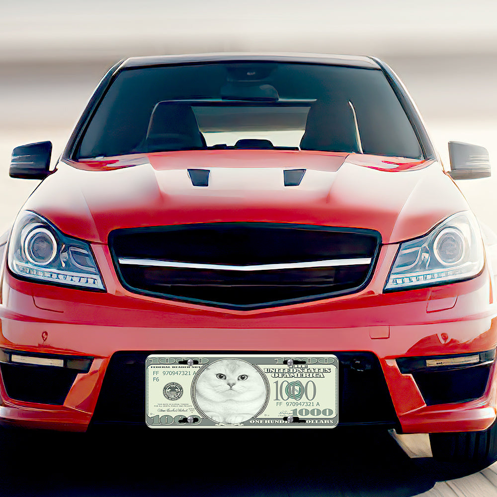 custom photo license plates personalized money front license plate for car - waterproof aluminium, scratch-resistant, gift idea, universal fit, easy installation