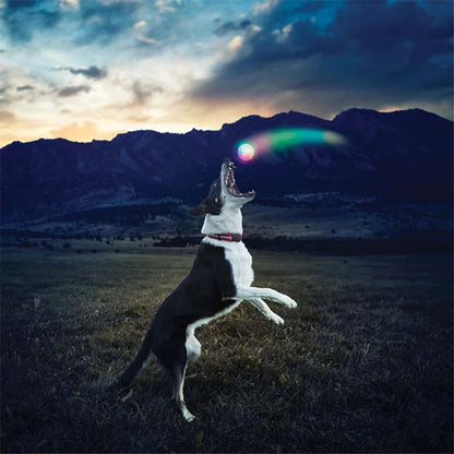 Glowing LED Dog Ball Toy for Night Play, Durable Rubber Design, Stainless Steel Core, with Battery Included, Perfect for Pet Exercise, Training, and Interactive Fun