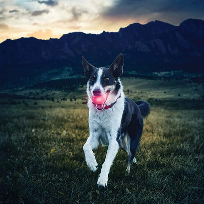 Glowing LED Dog Ball Toy for Night Play, Durable Rubber Design, Stainless Steel Core, with Battery Included, Perfect for Pet Exercise, Training, and Interactive Fun