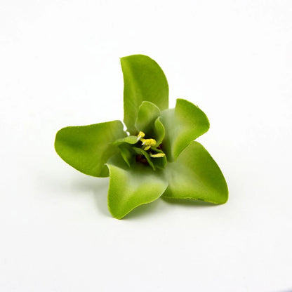 Artificial Orchid Flower Heads 7.5cm, Silk Decoration for Home Wedding, DIY Craft, 10/20/30PCS Assorted Colours, Gift Scrapbooking Decorative Floral Design