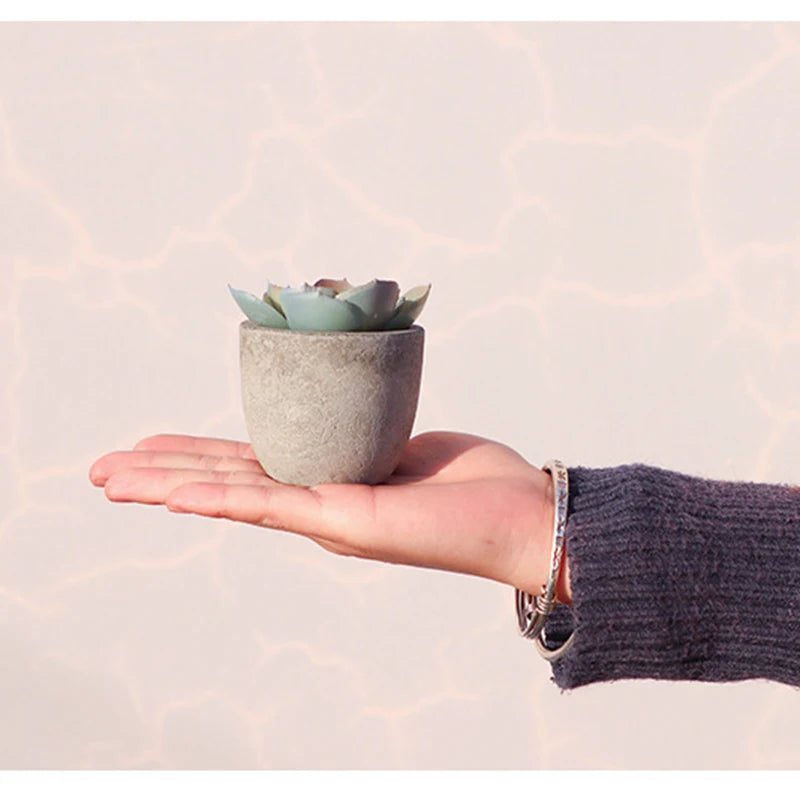 mini artificial aloe bonsai plant in plastic pot - fake floral ornament for office table, home decor, garden display, exhibition or outdoor use, 1 piece