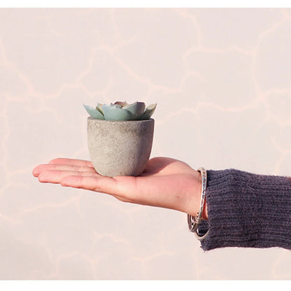 Mini Artificial Aloe Bonsai Plant in Plastic Pot - Fake Floral Ornament for Office Table, Home Decor, Garden Display, Exhibition or Outdoor Use, 1 Piece