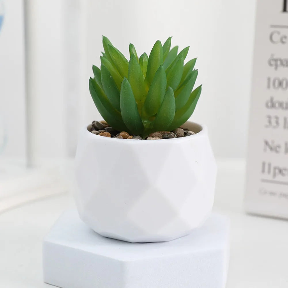 artificial succulent plants, plastic potted cactus, realistic greenery for home decor, small bonsai for indoor display, low maintenance, modern office design