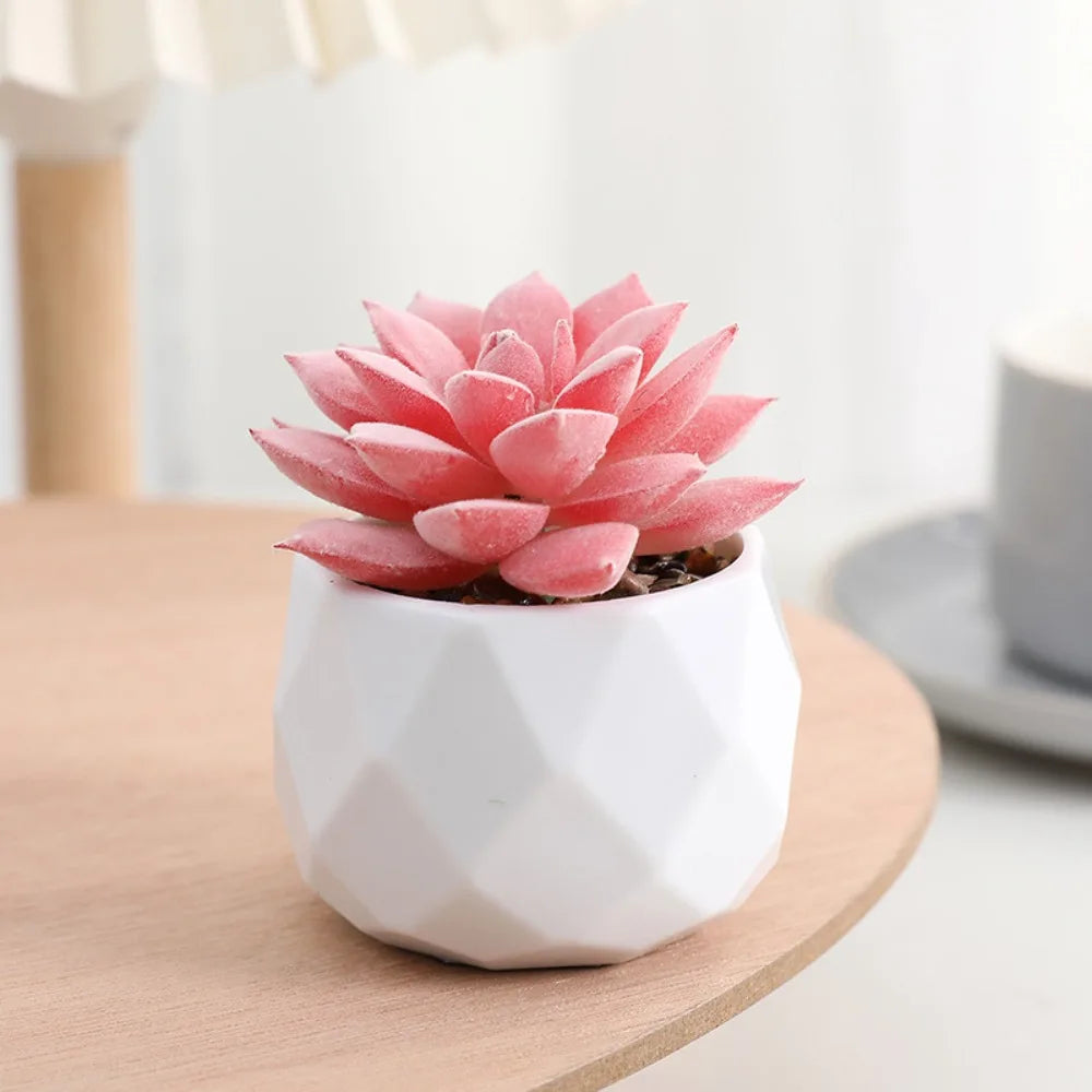 artificial succulent plants, plastic potted cactus, realistic greenery for home decor, small bonsai for indoor display, low maintenance, modern office design