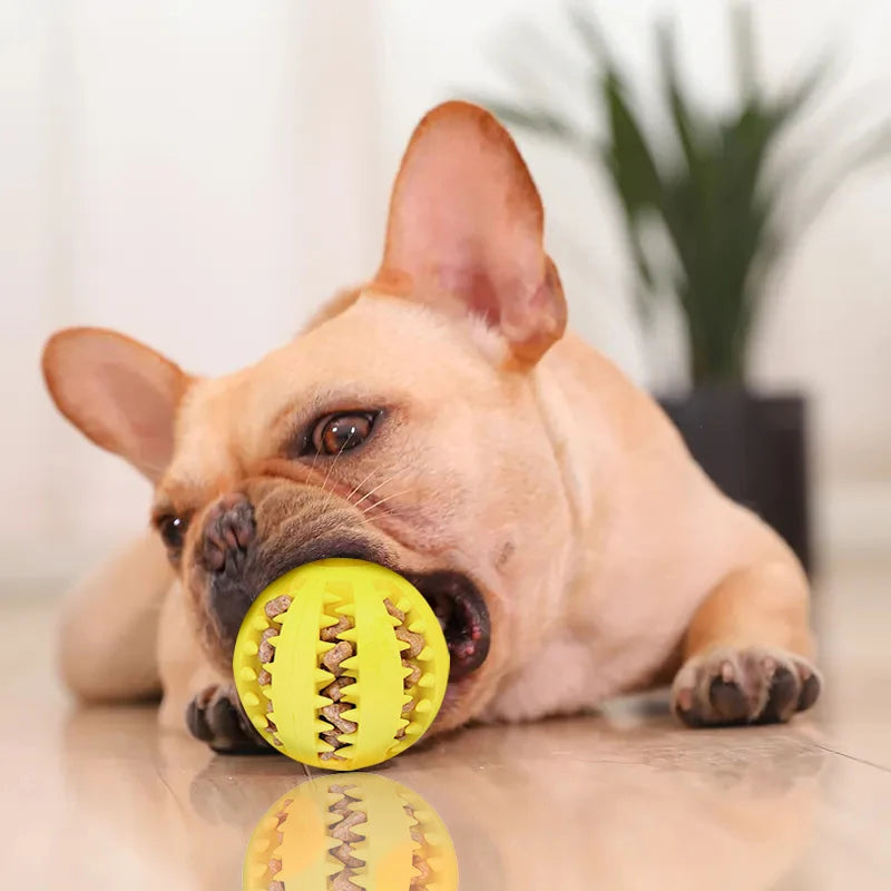 rubber dog chew toy - indestructible snack and tooth cleaning interactive ball for large dogs - durable soft pet accessories for dog training and play