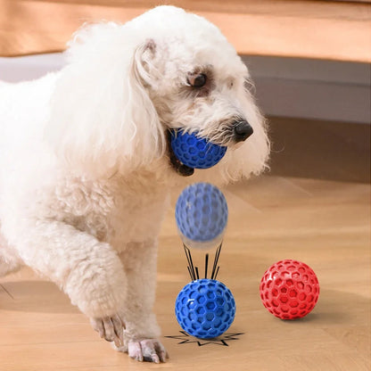 Durable Squeaky Dog Ball Toy - Tough TPR Rubber for Aggressive Chewers, Enhances Dental Health, Perfect for Teething Relief, Interactive Fetch and Play for All Dog Sizes