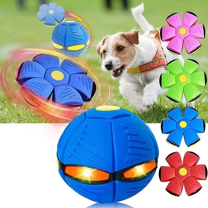 Transforming Flying Saucer Stomp Ball Toy for Kids & Pets, Indoor Outdoor Fun, Stress Relief, Durable Plastic Puzzle Disc, Bright Colours, Easy to Carry and Assemble