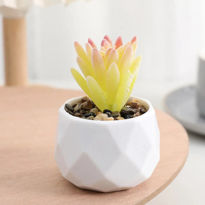 Artificial Succulent Plants, Plastic Potted Cactus, Realistic Greenery for Home Decor, Small Bonsai for Indoor Display, Low Maintenance, Modern Office Design