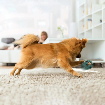 Durable Interactive Dog Treat Dispenser Toy, Treat-Fillable Chew Ball for Dogs, Easy-Clean Puzzle Toy, Stimulates Minds, Non-Electrical Indoor Fun, Promotes Dental Health