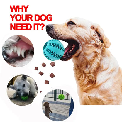 Durable Rubber Dog Chew Ball Toy | Interactive Elastic Ball for Teeth Cleaning | Pet Fetch Play | Ideal for Aggressive Chewers | Safe, Non-Toxic Material
