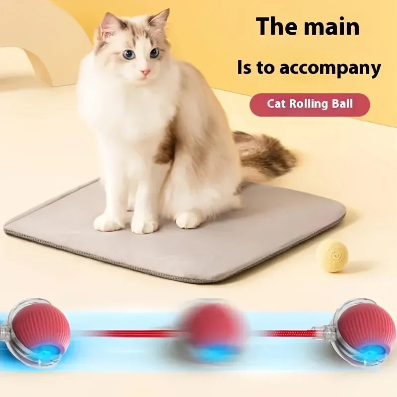 4.462 b0djvl58v1 automatic rolling ball interactive ball cat toys pet supplies electric dog and cat training to imitate rat rechargeable products