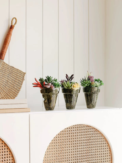 Artificial Succulent Plants Set, Realistic Textured Flocked Cactus, Faux Greenery for Home, Office, Exhibition, Outdoor, Desktop Decor, Indoor Courtyard Decoration, 2/5/10pcs