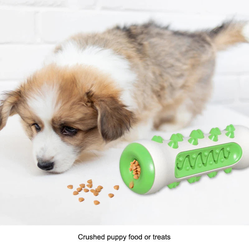 dog chew toys for puppy dental care, safe soft rubber teething, teeth cleaning, durable molar toys, pet supplies, oral hygiene, gum massage, non-toxic