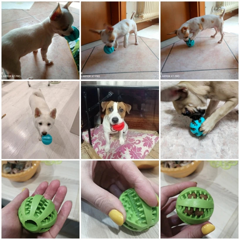 rubber dog chew toy - indestructible snack and tooth cleaning interactive ball for large dogs - durable soft pet accessories for dog training and play