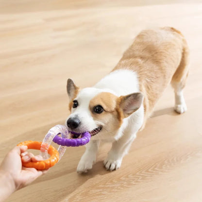 Durable Rubber Dog Chew Toy, Bite-Resistant Pull Ring for Tug-of-War, Teeth Cleaning, Ideal for All Breeds, Suitable for Indoor and Outdoor Play, Promotes Dental Health