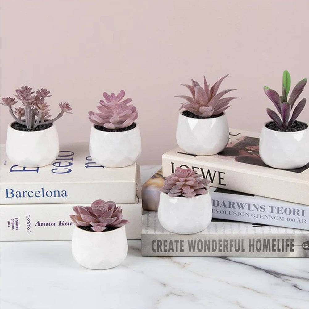 4 assorted echeveria indoor plants – ideal for desks, shelves, windowsills – natural air purifiers, lively décor, easy care, pvc-free, home office display, anniversary gifts