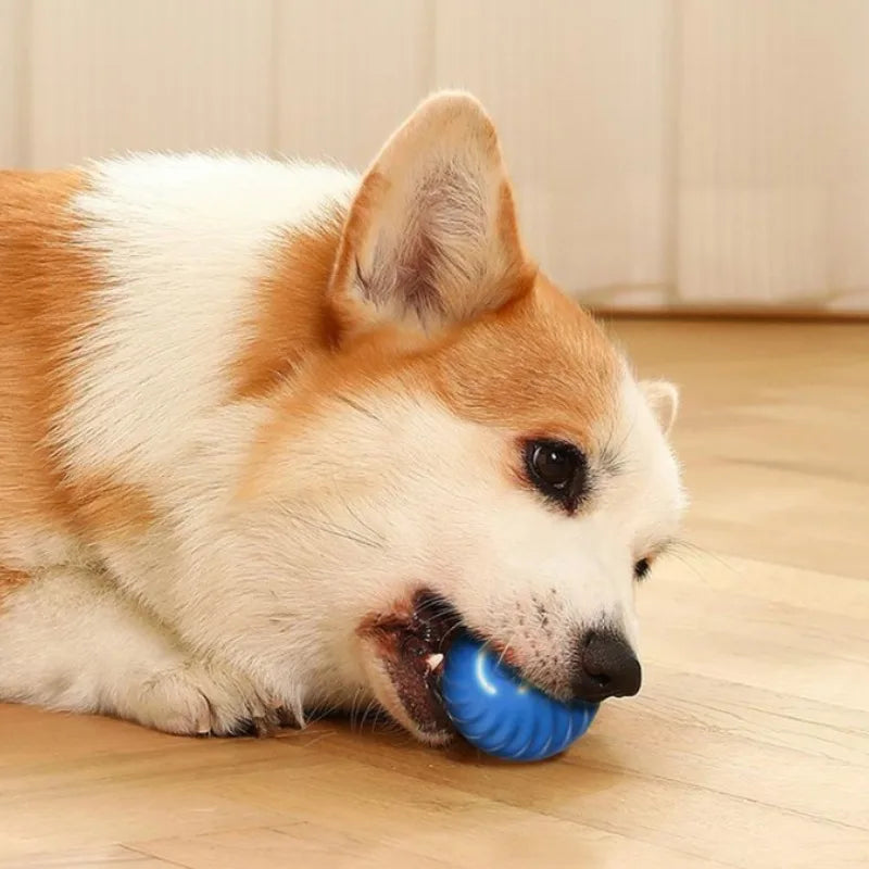 blue pet toy ball automatic moving dog toy ball smart usb jumping rotating interactive dog chew toy ball for puppy ball toy