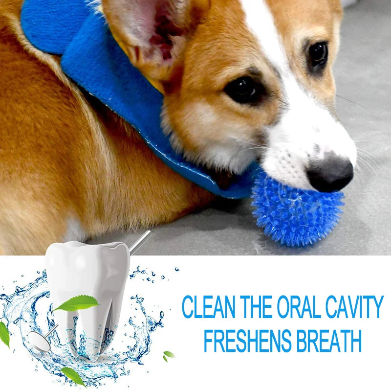 interactive sound ball for cats & dogs - durable chew toy, dental health, engaging noise, thorn texture, exercise & training aid, plastic pet toy for active playtime