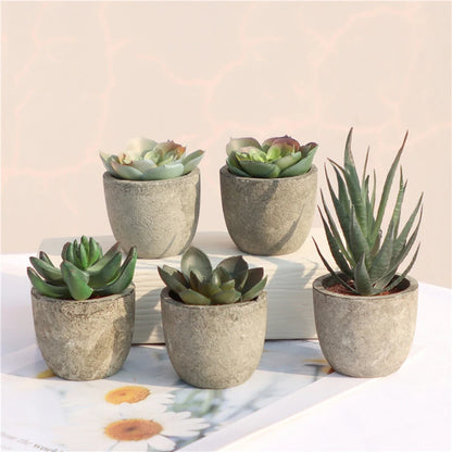 Mini Artificial Aloe Bonsai Plant in Plastic Pot - Fake Floral Ornament for Office Table, Home Decor, Garden Display, Exhibition or Outdoor Use, 1 Piece