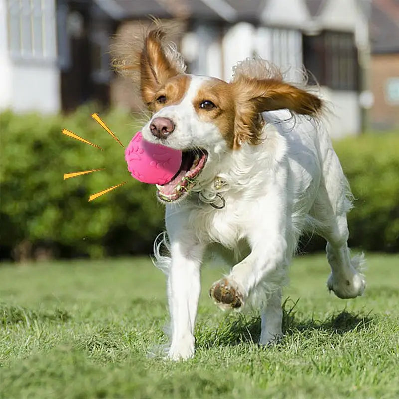 squeaky dog chew ball, durable latex, interactive toy for small to large breeds, great for outdoor activities, non-toxic, ideal for fetch and play, promotes exercise and fun