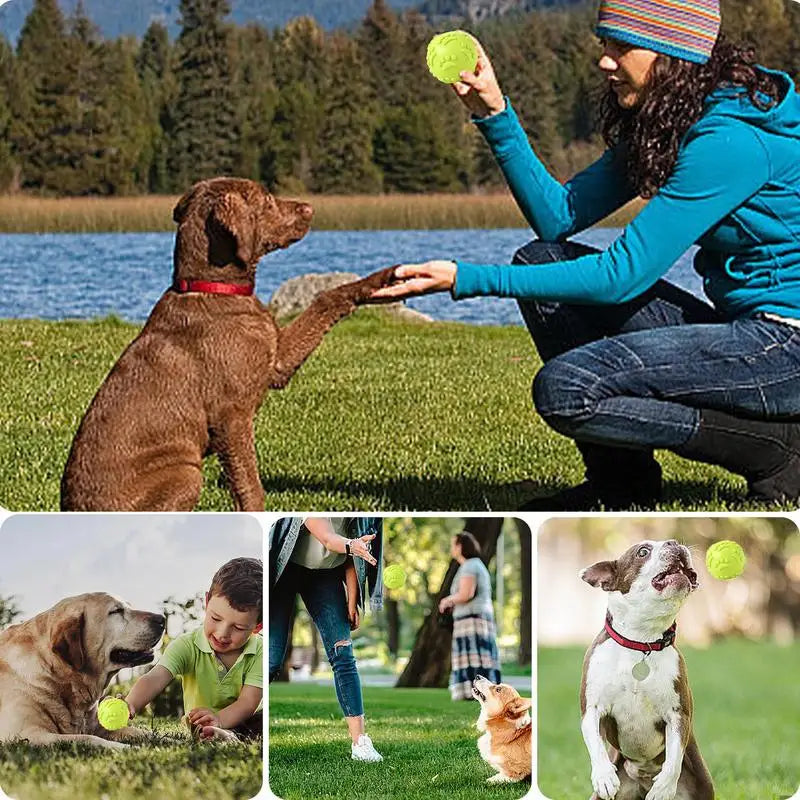squeaky dog chew ball, durable latex, interactive toy for small to large breeds, great for outdoor activities, non-toxic, ideal for fetch and play, promotes exercise and fun