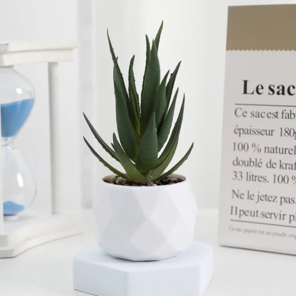 artificial succulent plants, plastic potted cactus, realistic greenery for home decor, small bonsai for indoor display, low maintenance, modern office design