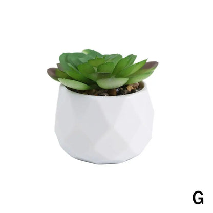 Mini Artificial Succulent Bonsai Plants, Plastic Evergreen Decor for Home, Office, Outdoor, Desktop Ornaments, Perfect for Exhibitions and Anniversaries