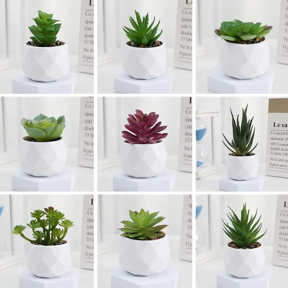 mini artificial succulent bonsai plants, plastic evergreen decor for home, office, outdoor, desktop ornaments, perfect for exhibitions and anniversaries