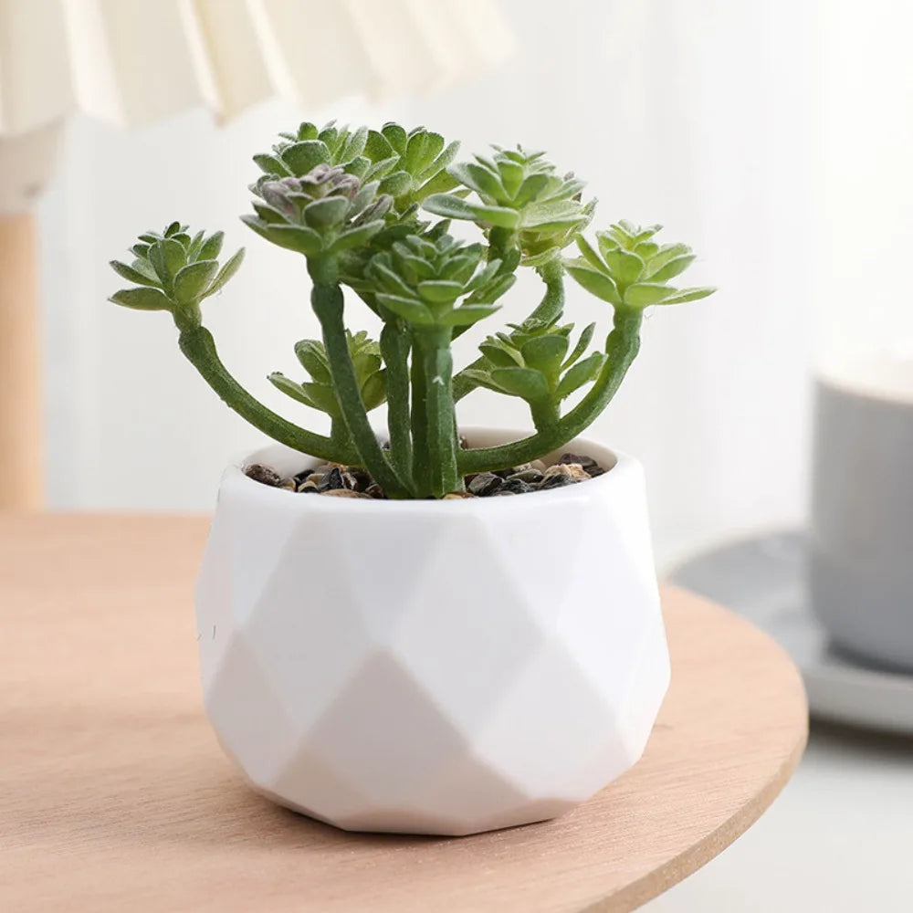 artificial succulent plants, plastic potted cactus, realistic greenery for home decor, small bonsai for indoor display, low maintenance, modern office design