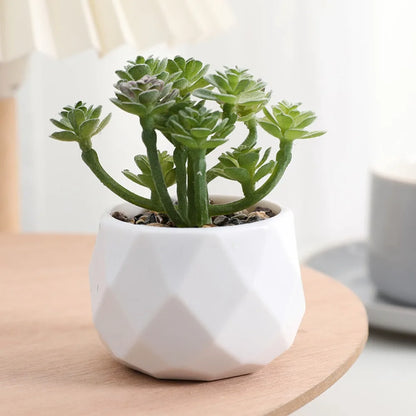 Artificial Succulent Plants, Plastic Potted Cactus, Realistic Greenery for Home Decor, Small Bonsai for Indoor Display, Low Maintenance, Modern Office Design