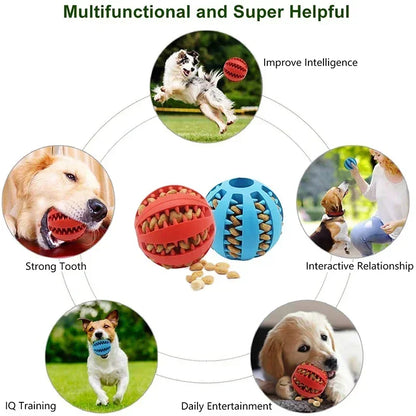 Interactive Rubber Dog Toy Ball - Non-Toxic, Bite & Chew Resistant - Cleans Teeth, Dispenses Treats - Durable Training & Play Accessory for Small Dogs