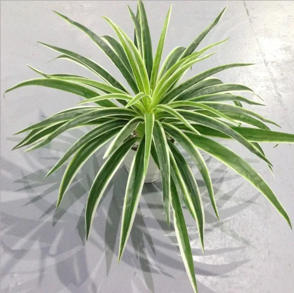 artificial silk chlorophytum branch faux plant for indoor desktop decor, ideal for office, home, and outdoor exhibitions - no pot