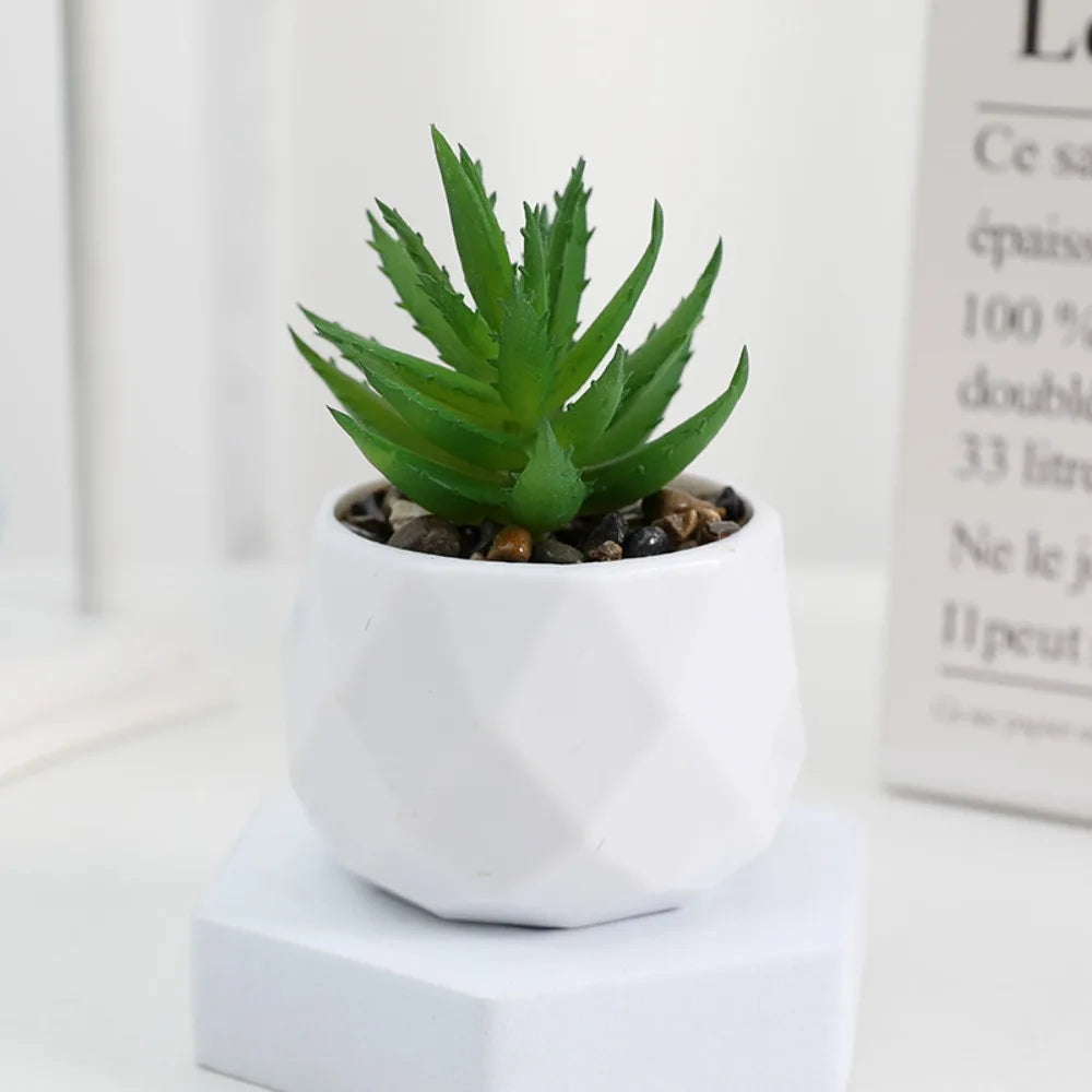 artificial succulent plants, plastic potted cactus, realistic greenery for home decor, small bonsai for indoor display, low maintenance, modern office design