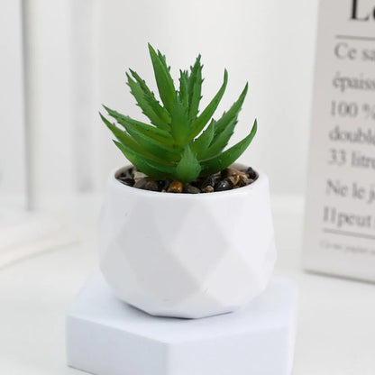 Artificial Succulent Plants, Plastic Potted Cactus, Realistic Greenery for Home Decor, Small Bonsai for Indoor Display, Low Maintenance, Modern Office Design