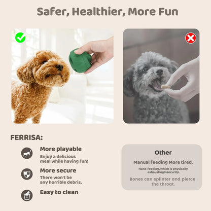 Durable Pet Chew Toy Set - Fillable Rubber Treat Holders - Dog Teething Toys for Anxiety Relief - Cooling Summer Play for Puppies and Adult Dogs