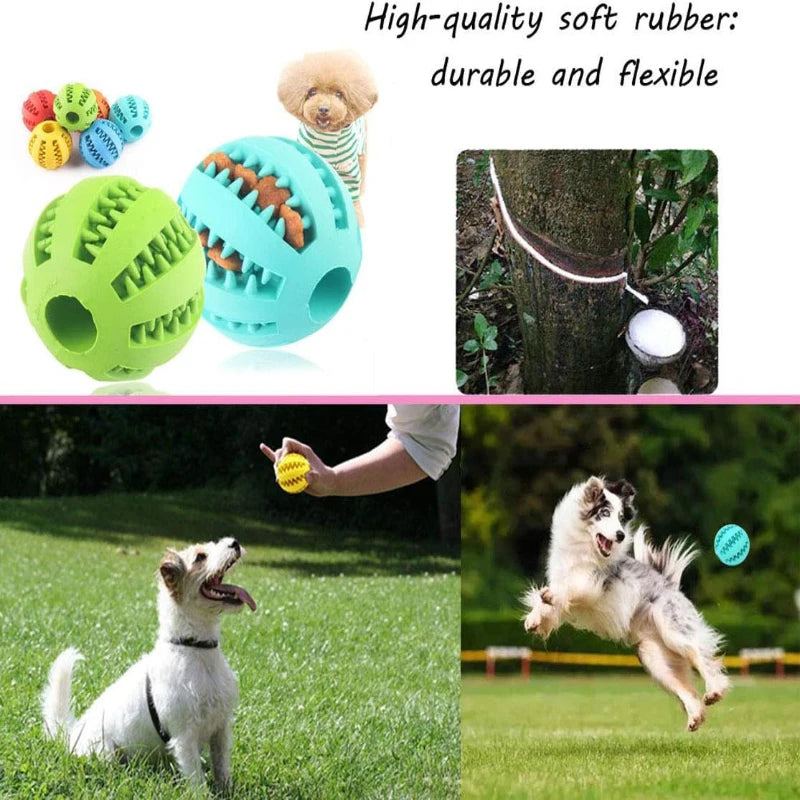 pet chew toy ball, durable rubber, dental cleaning & treat dispenser, engaging indoor/outdoor play, ideal for small dogs & cats, lightweight for active fun