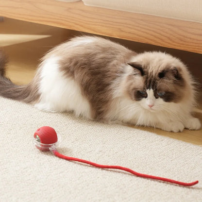 4.522 B0DH2G8ZJ6 Green Rechargeable Cat Toys Interactive Smart Pet Interaction Automatic Rolling Ball Toy Accessories for Cats Electric Dog Ball Things