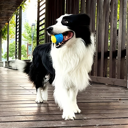 Interactive Dog Chew Ball, Durable TPR for Active Play, Supports Dental Health, Ideal for Medium to Large Breeds, Indoor & Outdoor Engaging Toy, Boosts Mental & Physical Activity