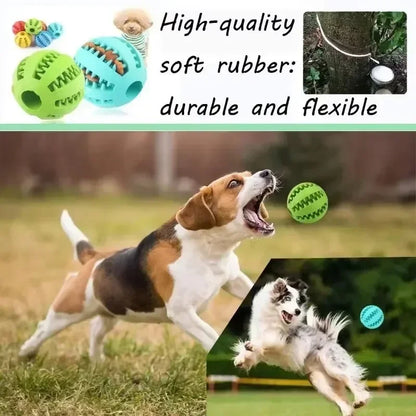 Interactive Rubber Dog Toy Ball - Non-Toxic, Bite & Chew Resistant - Cleans Teeth, Dispenses Treats - Durable Training & Play Accessory for Small Dogs