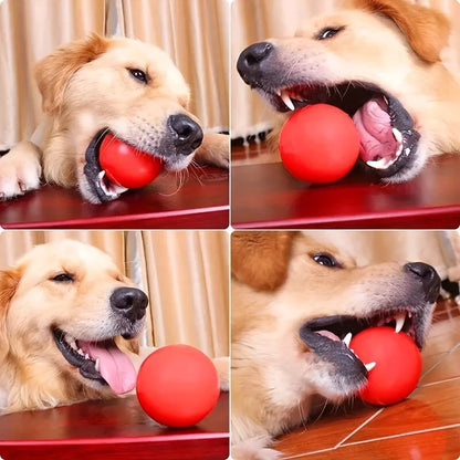 Rubber Dog Chew Ball Toy - Dental Care, Safe Play for Puppies & Adult Dogs, Durable & Fun, Supports Healthy Teeth & Gums, Lightweight Fetch Toy for Indoor & Outdoor Use