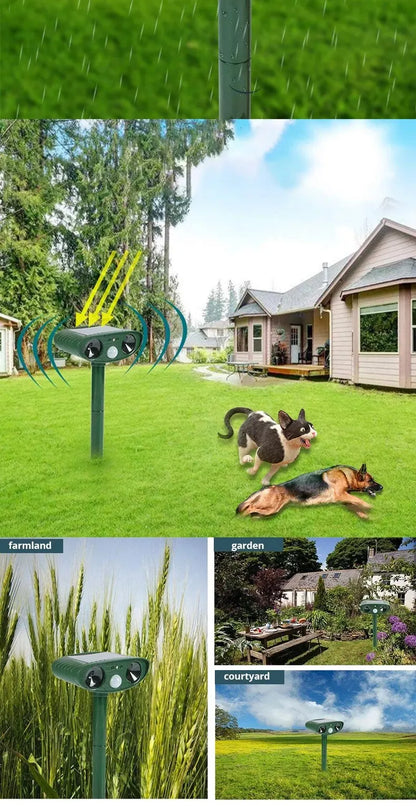 B0DWSPFZT4 B0DM8X8TZX
B0DWSPFZT4


B0DKNWQQSR

 1pc ultrasound  Repellant Cat Dog Repellant Solar Powered Rechargeable Garden Waterproof creature Deterrent For Farm Yard