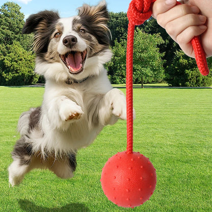 Rubber Ball with Rope Dog Chew Toy, Indestructible Pet Bite Training Aid, Molar Interactive Play, Funny Puppy Teething Toy, Durable Solid Design for Active Dogs