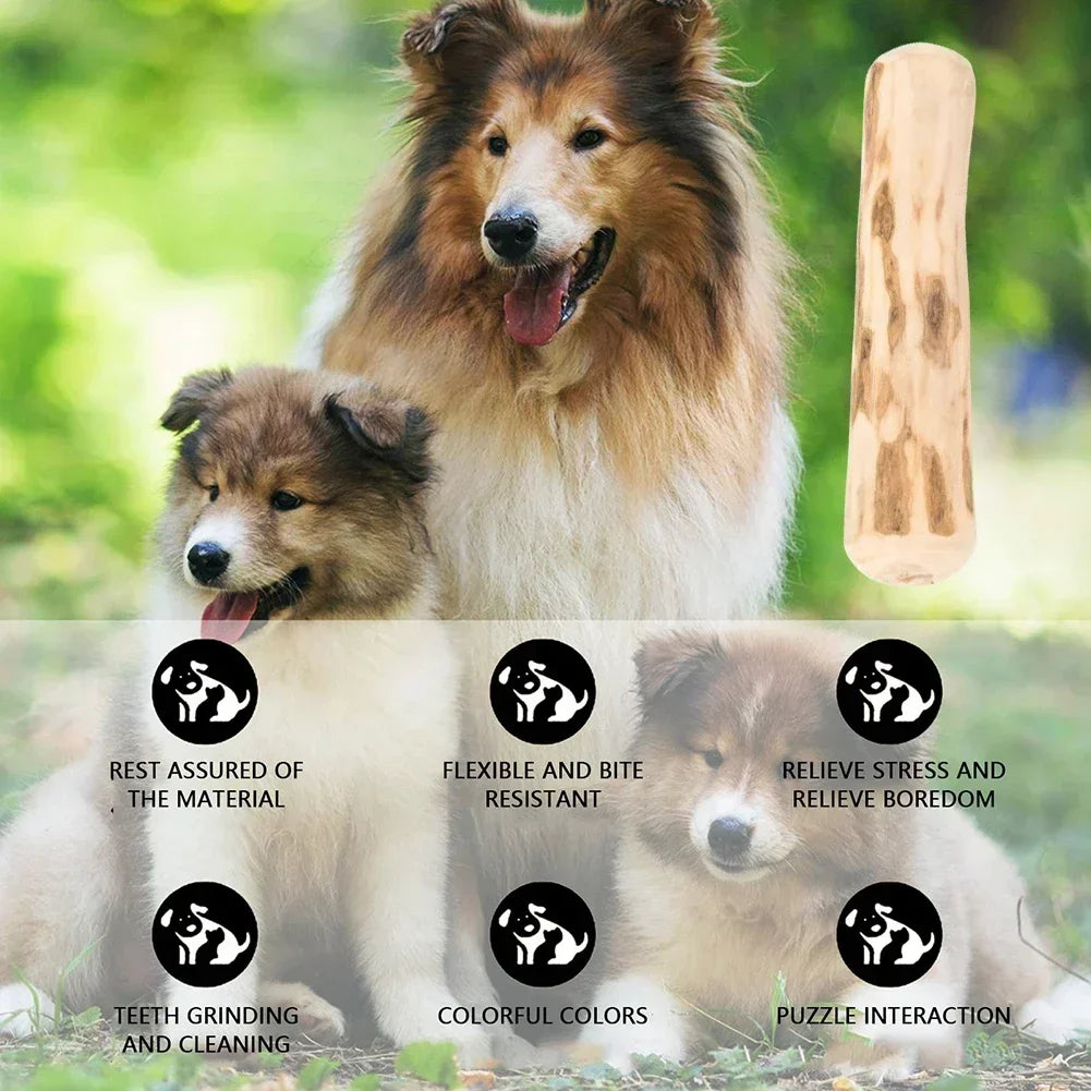 natural wood dog chew sticks - safe non-toxic dental toys, promotes healthy teeth, anxiety relief, durable pet chews for puppies and adults, enhances calmness, ideal for all dogs
