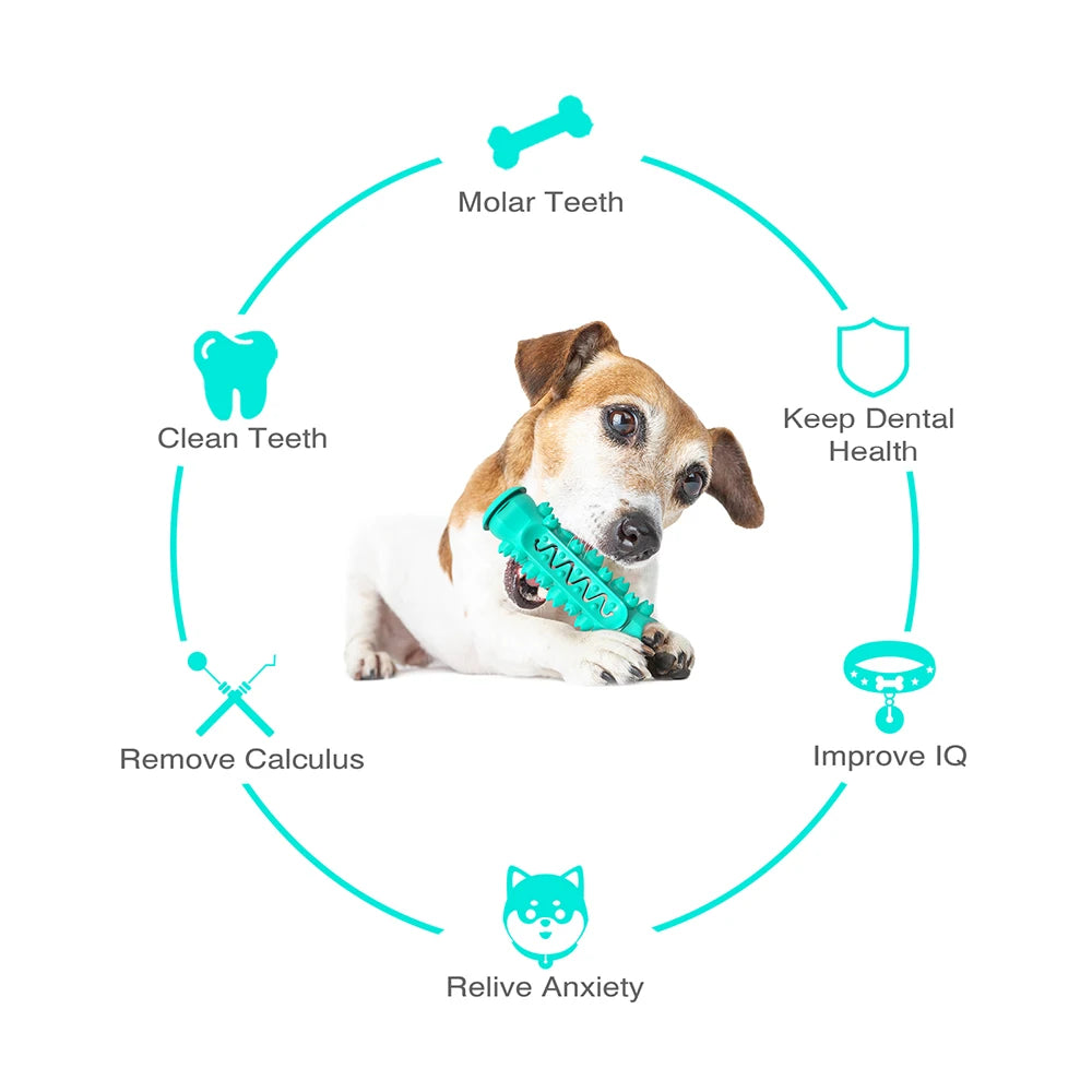 durable rubber chew toy for medium to large dogs, interactive bone for dental health, safe teething toy, ideal for retrievers & terriers, pet gift, easy to clean